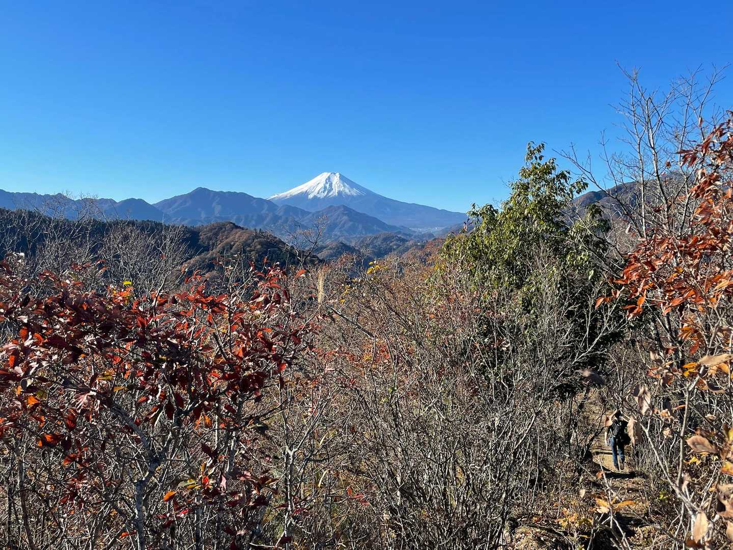 菊花山山頂から