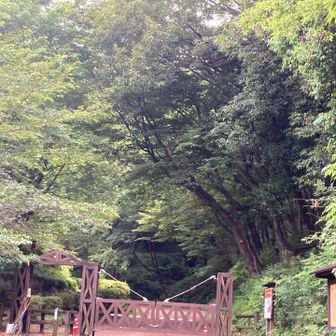 久しぶりに古津から