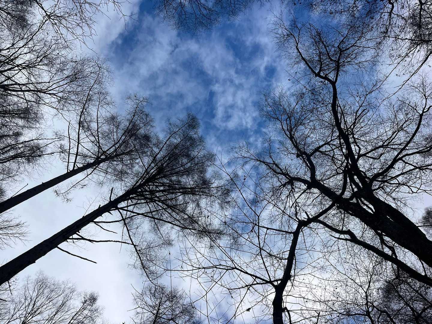 槙沢登山口-茂来山 往復コースの写真