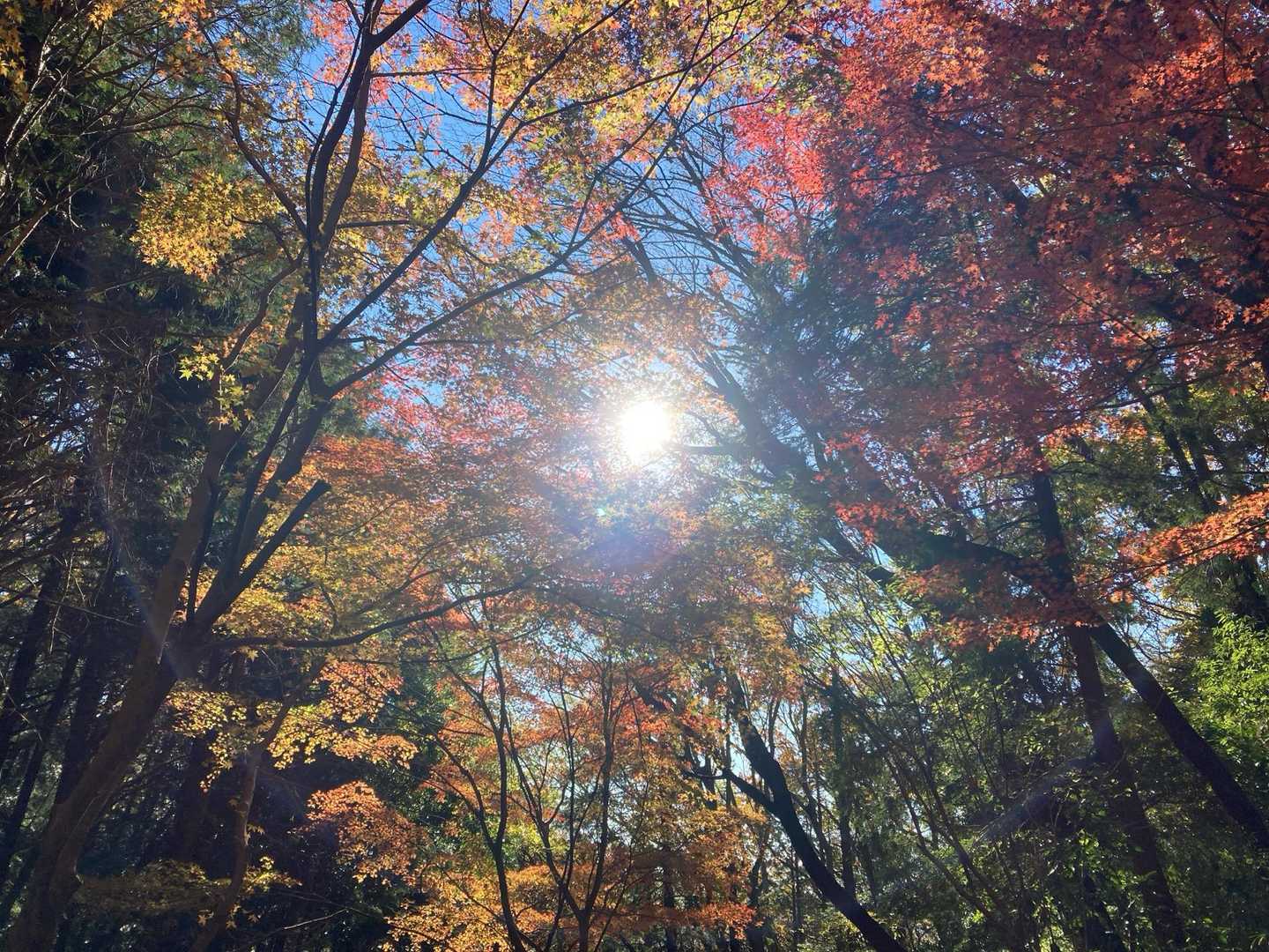 眩しいので画面見ないで撮ってみました