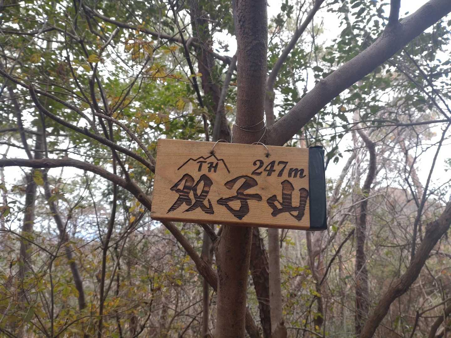 標高は247mです😊