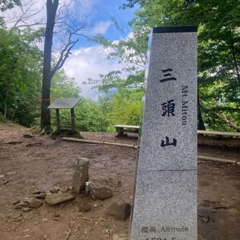 台形クン久しぶり