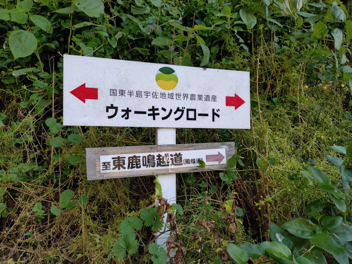 鹿鳴越（かなごえ）
なかなかの難読地名