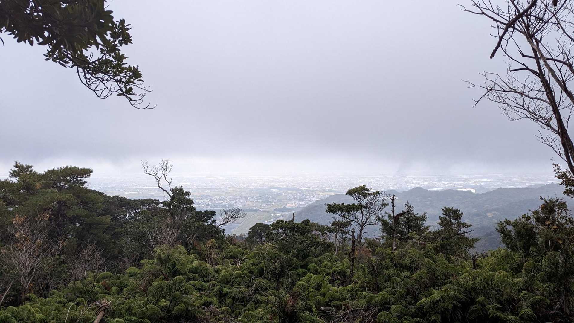 大麻山 往復コースの写真