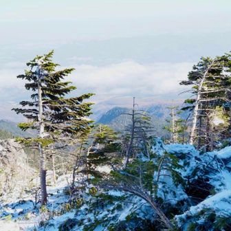 下山は楽しかった〜