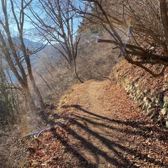 中ノ棒山を過ぎるまでは明るくて広くて歩きやすい道が続きます