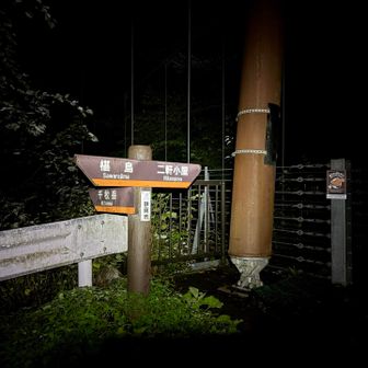 まだ暗いうちに椹島を出発