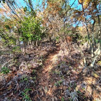 前回下ったときに登りたくないなあと思った勾配