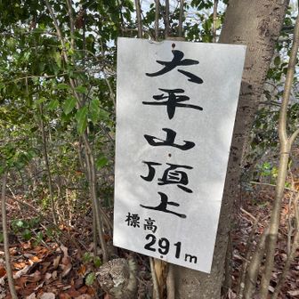 大平山山頂⛰️
