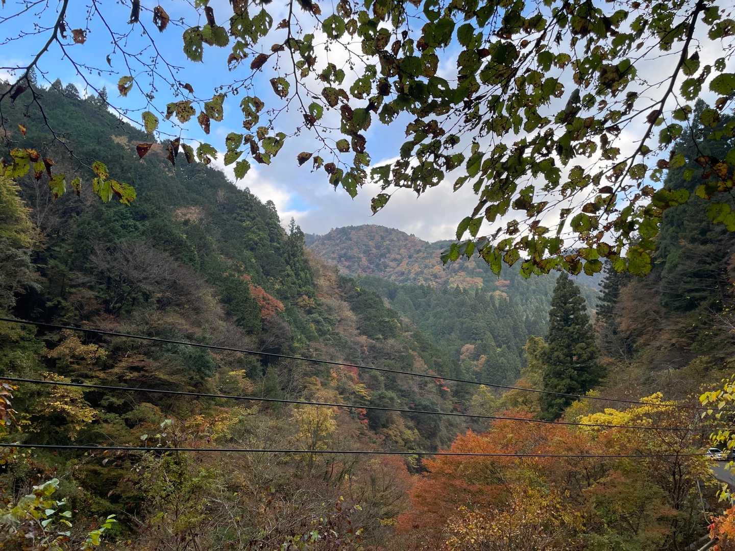 ふもとは紅葉ピーク。