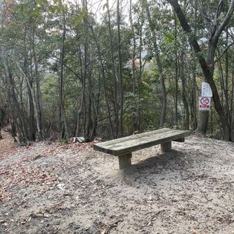 左に進むもピンクテープだらけ
よくわからんので右から下山して
キャンプ場へ降りる