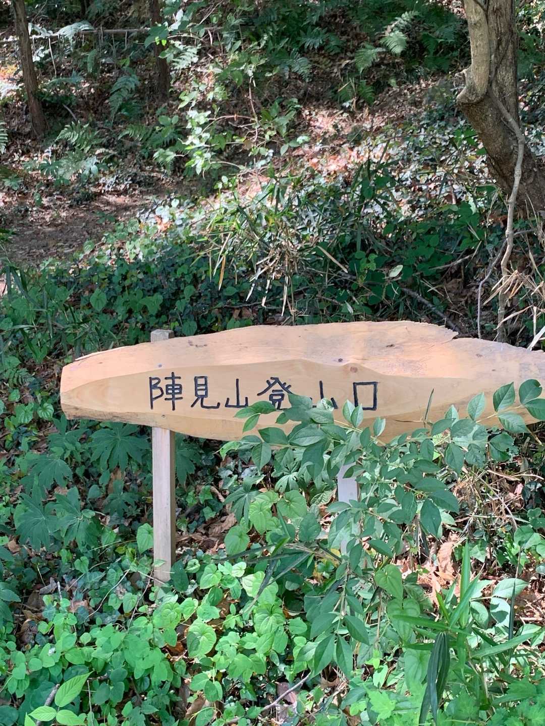 陣見山-十二天山 周回コースの写真