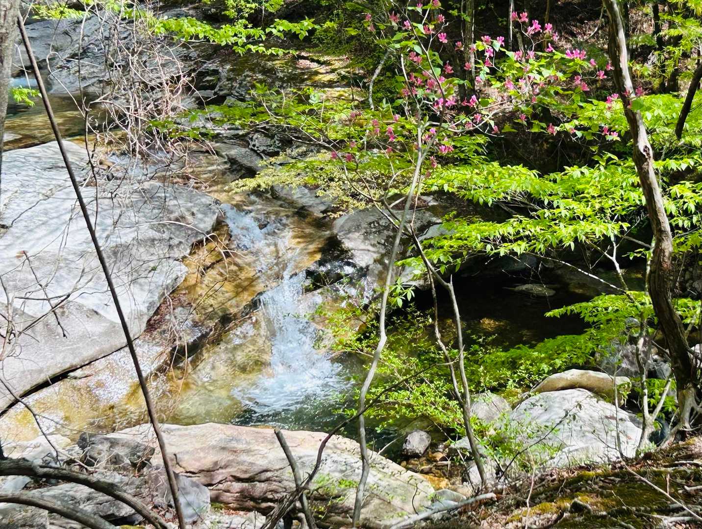 林道歩きのすぐそばには、小さな滝
きれいなお水が流れてます