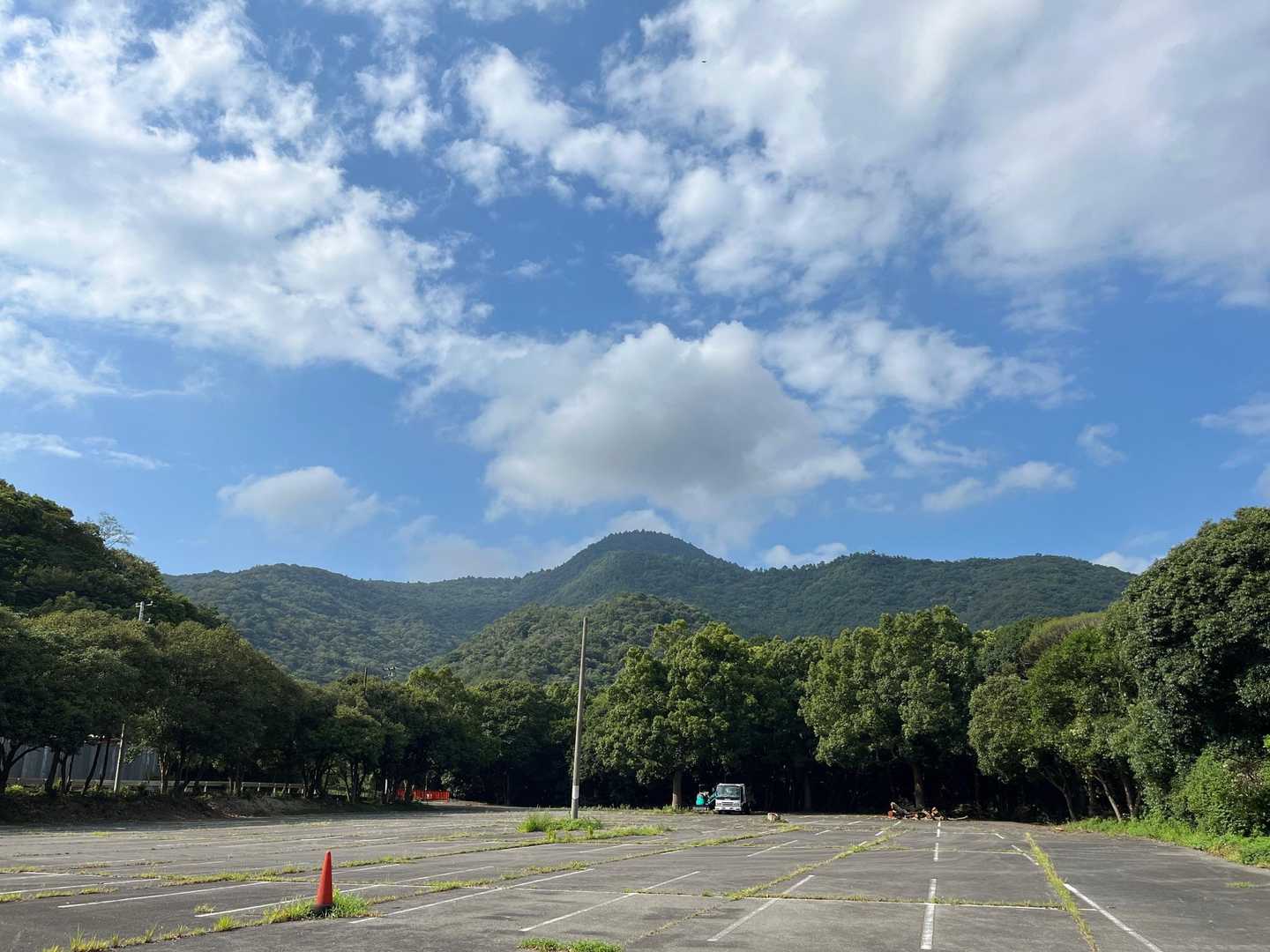駐車場の木が伐採されました
