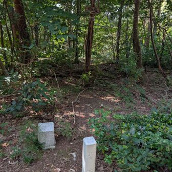 秋葉山の三角点
