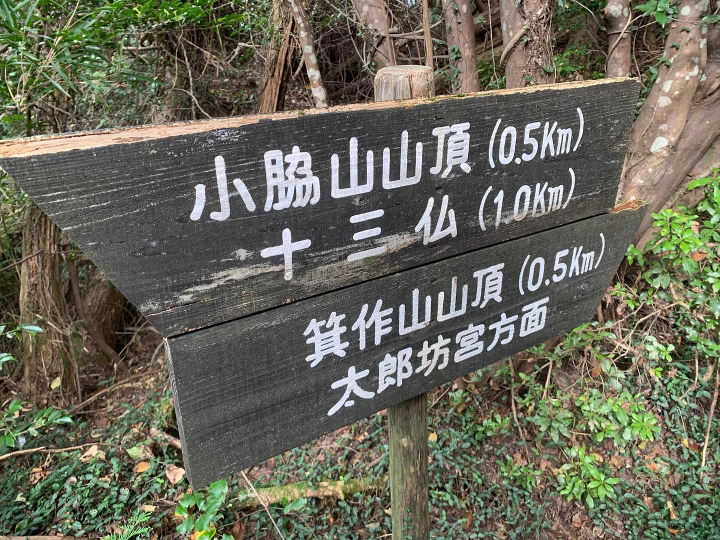 市辺駅-船岡山登山口-船岡山-船岡山登山口-十三仏登山口- 縦走コースの写真