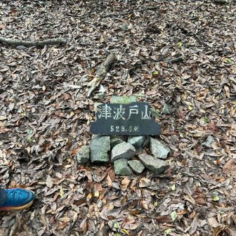 山頂到着