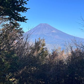 おぉ富士山最高🙌