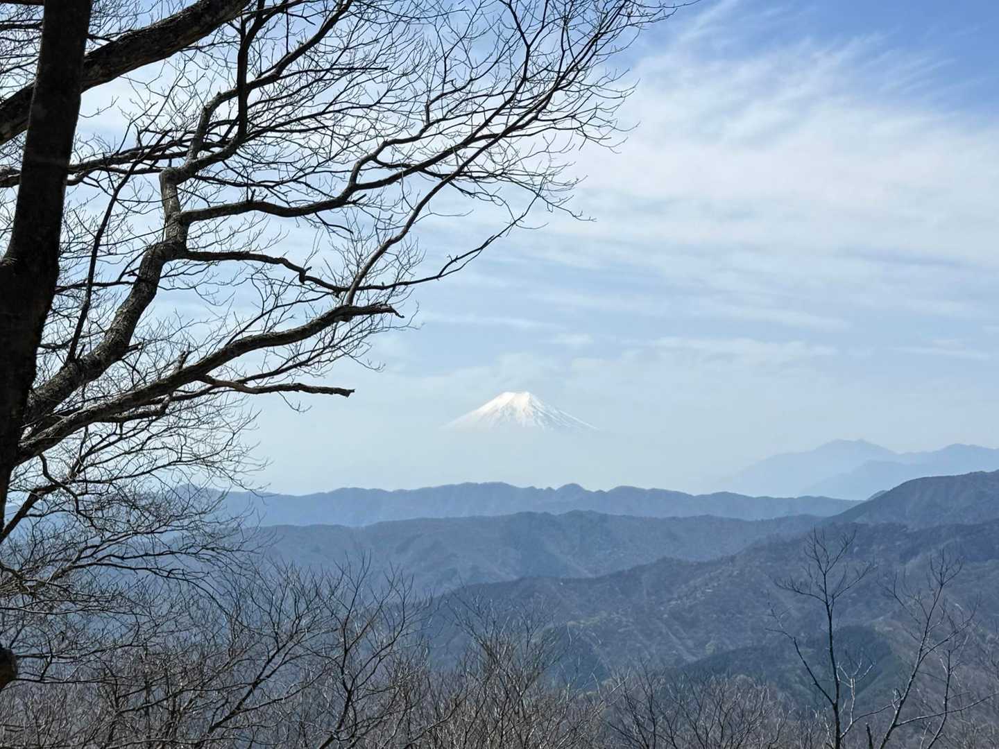 絶好のビューポイントから🗻
