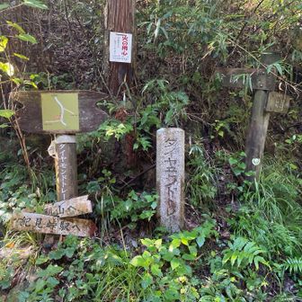 ダイトレと交差します。あまり覚えてないなぁ💦キツくて景色見る余裕もなかったのかも😑
