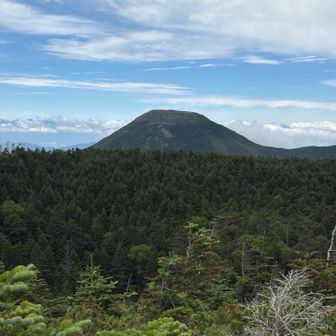 息子と登った蓼科山