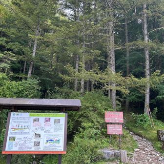 無事下山
ここからロードバイクでゲートまで下りは気持ちよくあっという間に降りてきました。
他にも沢山のバイクが止めてありました。
