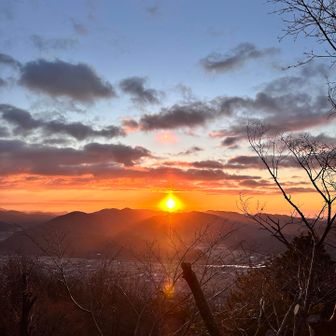 私はアップより引き気味に撮る方が好き❤️