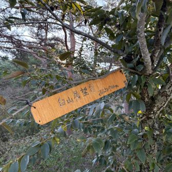 展望台だね！！