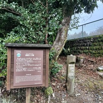 熊野古道 小辺路 その脇から熊野古道開始です。
中辺路ってありますね。