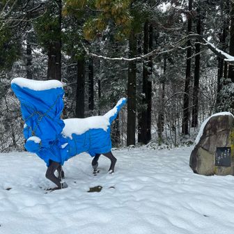 コミカルすぎる