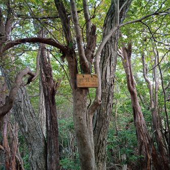 岩茸山に登頂🙌
なかなか、良き山です👍