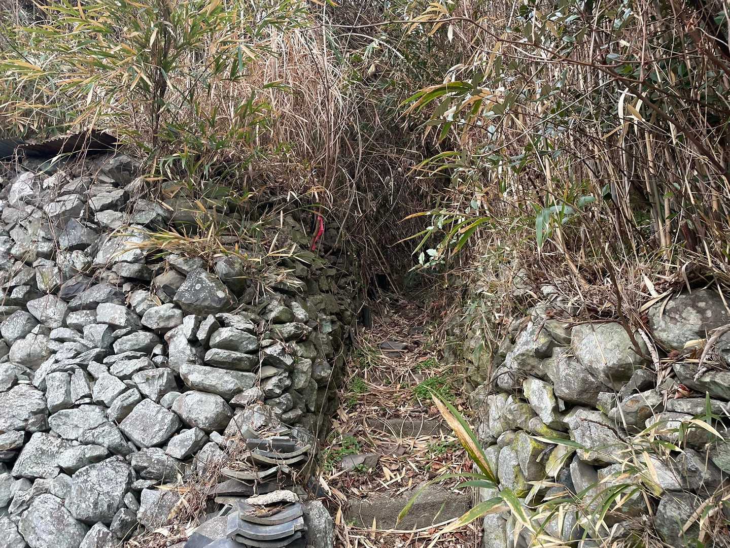 こちらに入っていきます