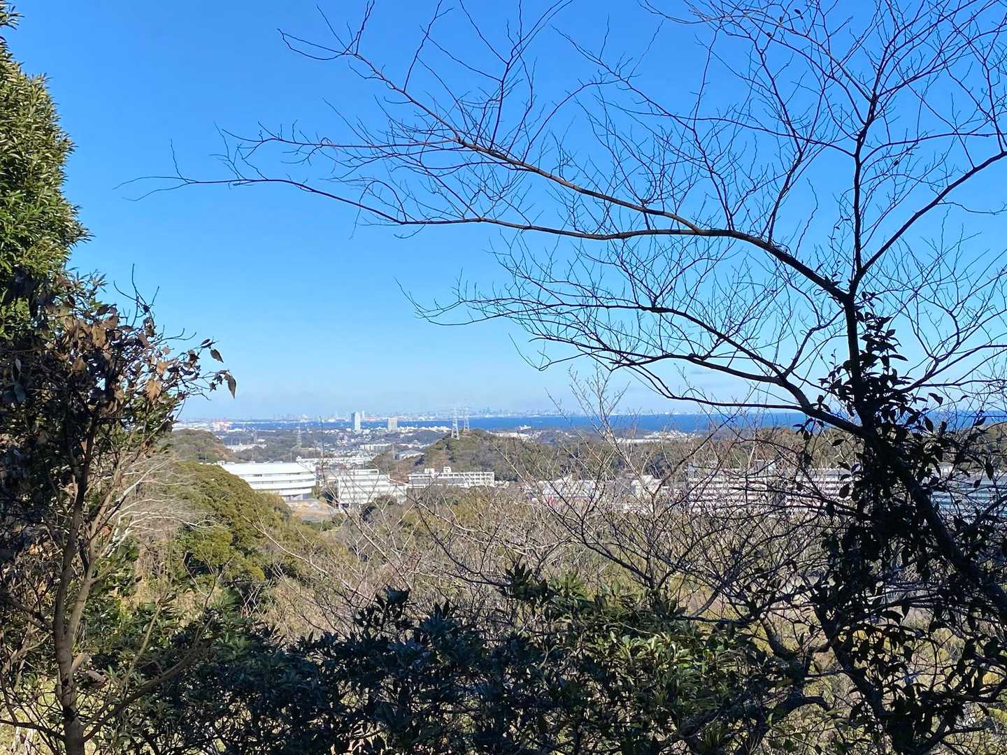 【フラット登山】まるで高峰を登ってるような低山　三浦富士は満足度高い　の写真
