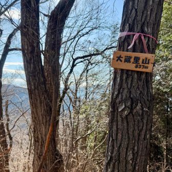 大蔵里山登頂。