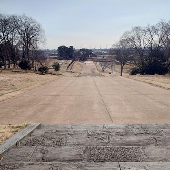 太古のロマンだっちゃ！