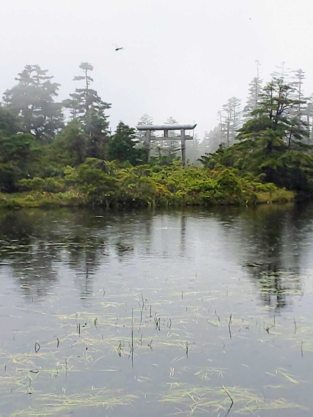 対岸には鳥居⛩️