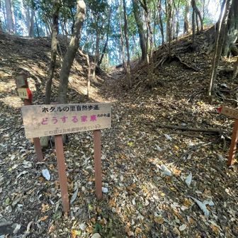 どうする家康！もう懐かしく感じます