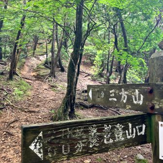 久しぶりに三方山へ