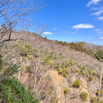 バッケ…確かに崖でしたね😅