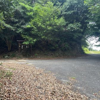 山頂まであと少しです