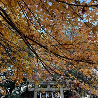実は、御机神社のほうがすこし古い