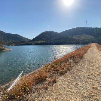 馬の頭上池のダムを歩く🚶‍♀️