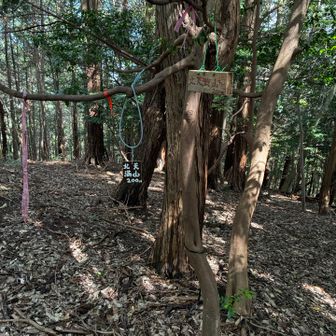 北天満山山頂　小西氏の陣跡かな