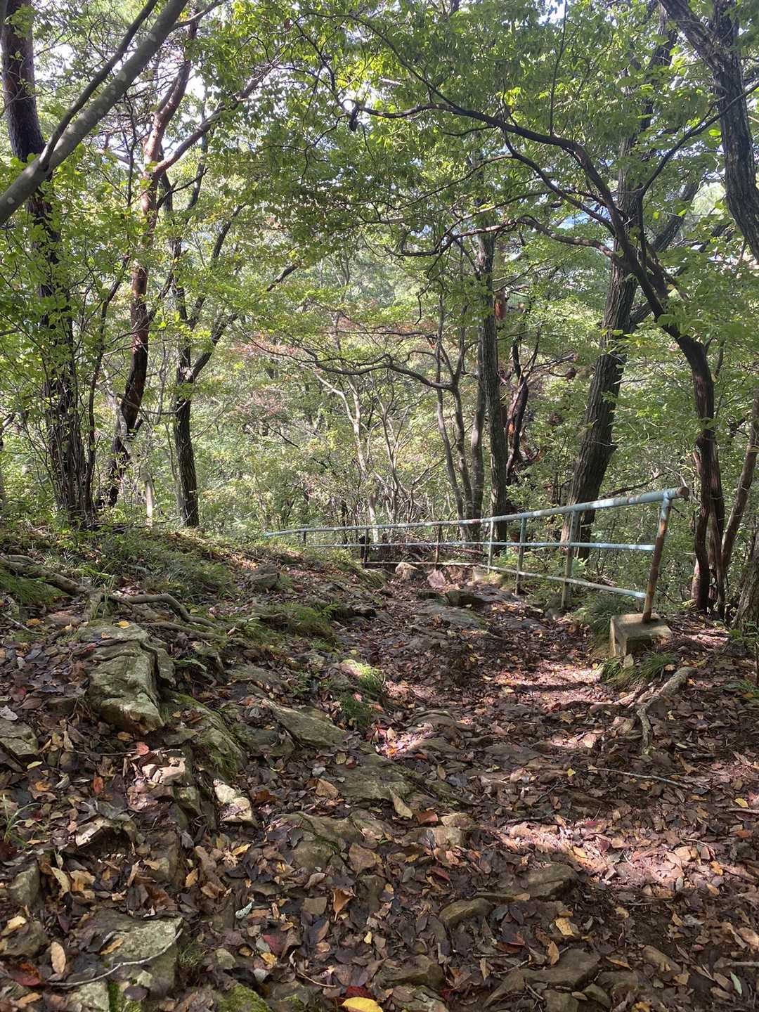 宇津峰 往復コースの写真