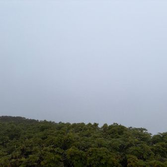 本当は田沢湖が見えたはず