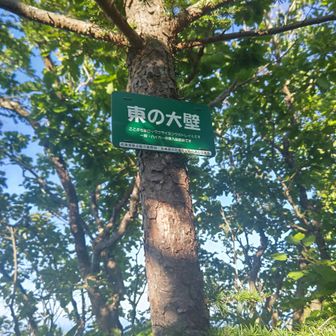 下赤岩山の山頂へ
行きは通常ルート
通常ルートなら何でもない山です