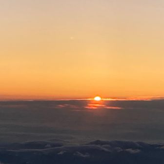 来た〜🌅