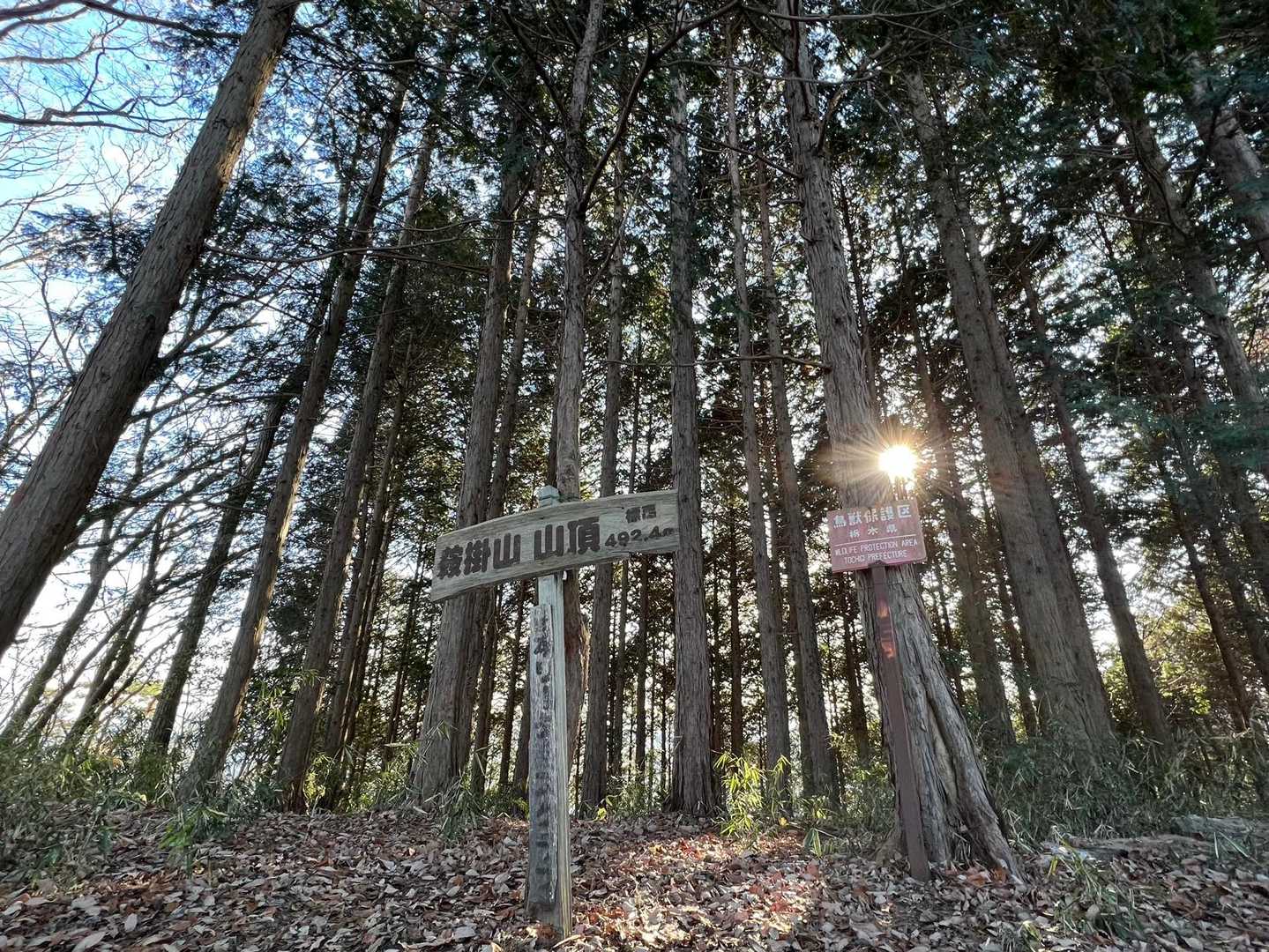 〜鞍掛山山頂〜
皆さんのレポで拝見していましたが、
その都度懐かしさが込み上げていました✨
ただいま！
この1年は、、
色んな所に⛰⛰お出かけした１年でしたよ(๑′ᴗ‵๑)とご報告しました♪