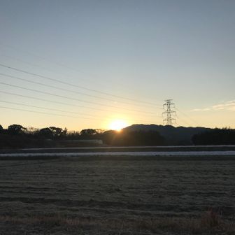 この道てくてく