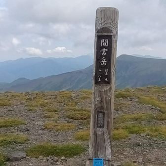 間宮岳頂上標柱
何処に立てても良いくらいに広い頂上